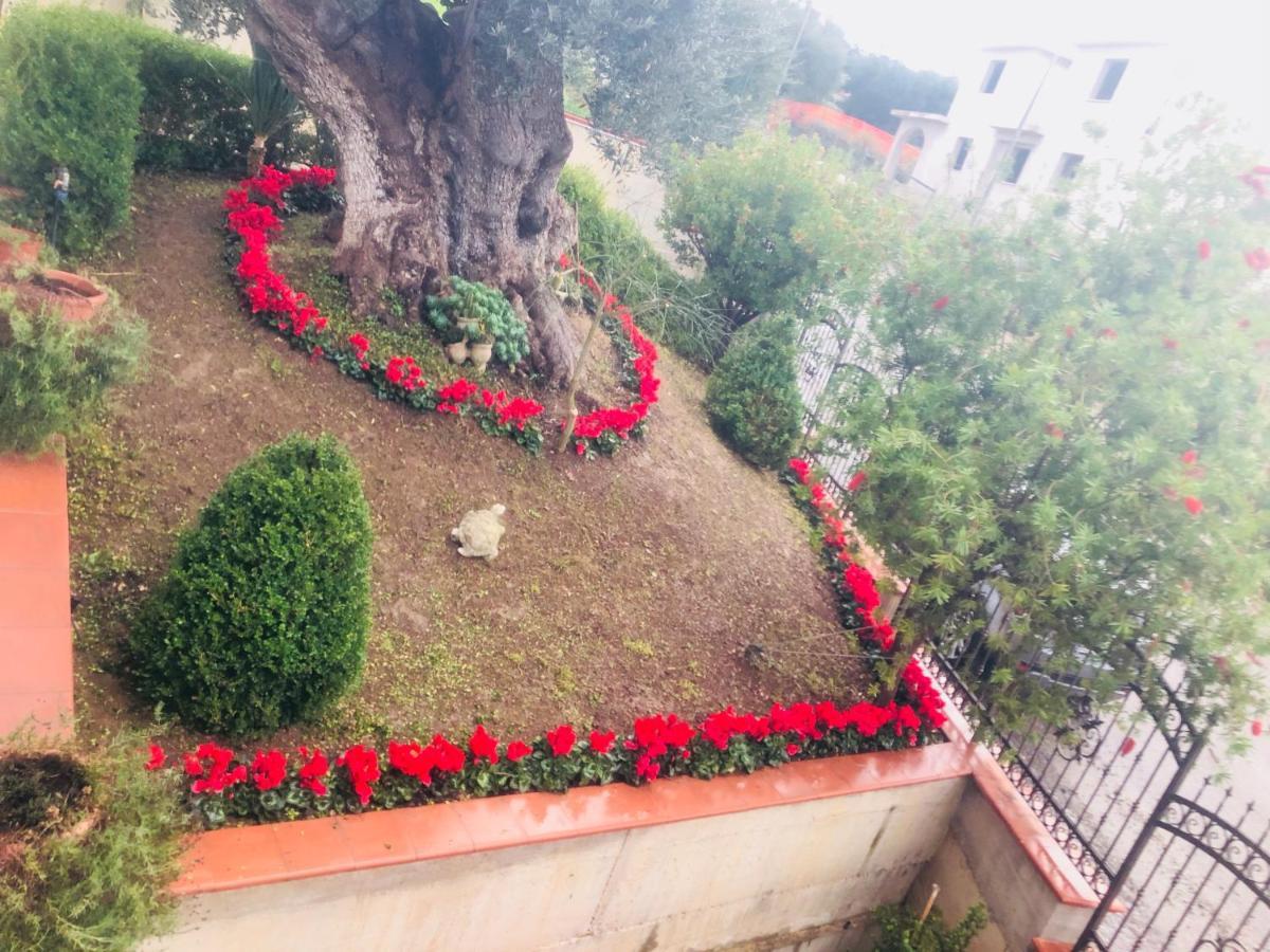 B&B Rosa Dei Venti Roseto Capo Spulico Exterior photo